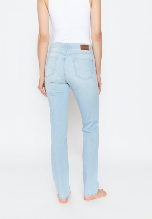 Cici 3558