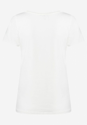  0041