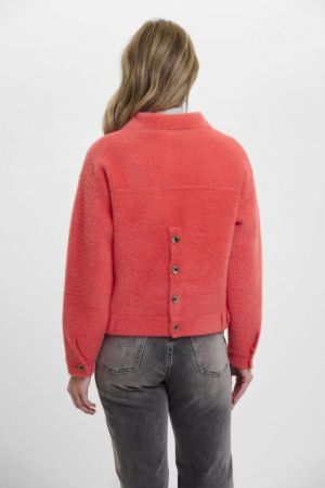 Coral