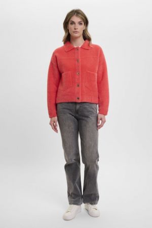  Coral