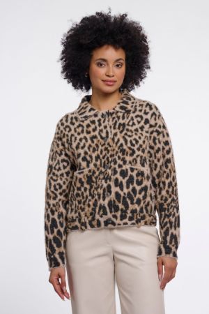  Light leopaard