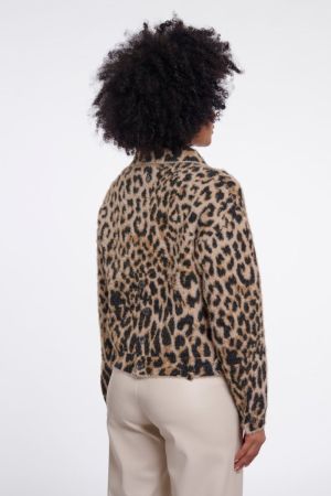  Light leopaard